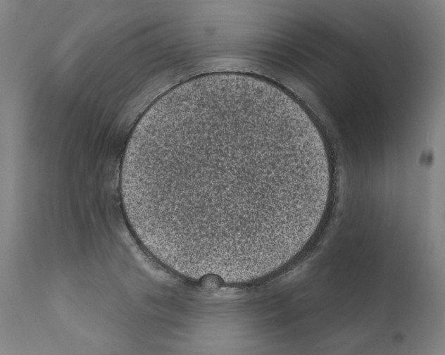 X0000110940841200907311014