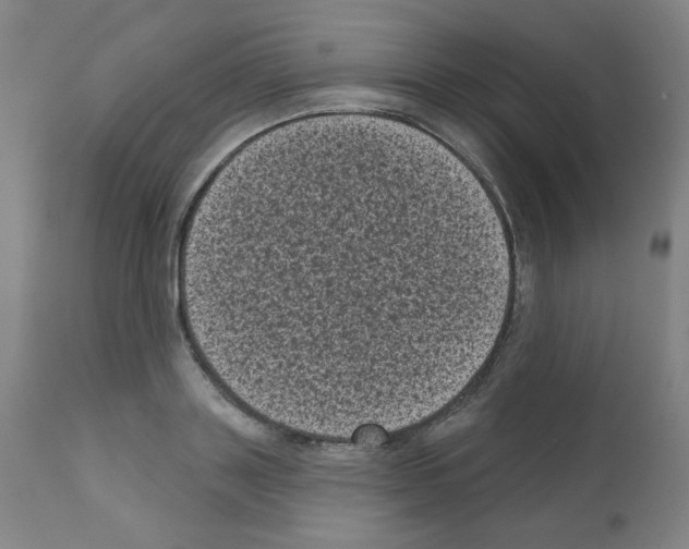 X0000110940843200907311014