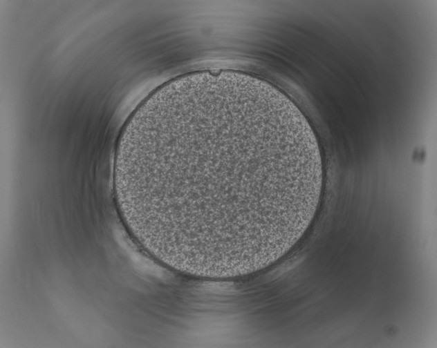 X0000110940844200907311014
