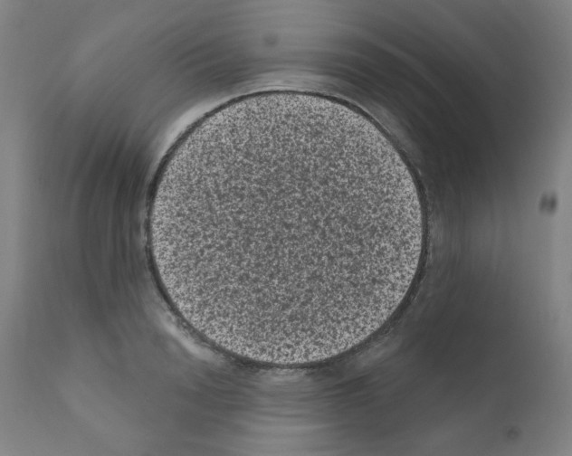 X0000110940846200907311014