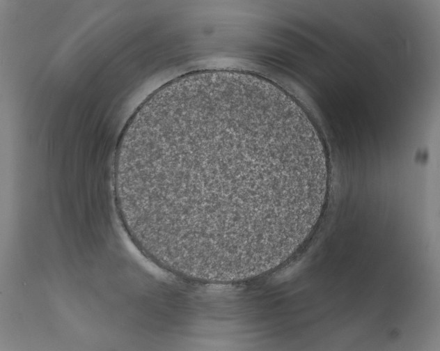 X0000110940847200907311014