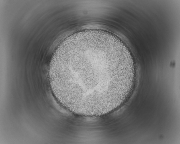 X0000110940849200907311014