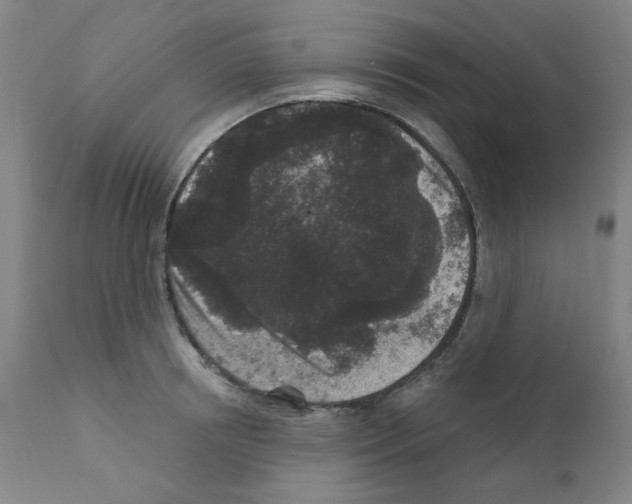 X0000110940850200907311014