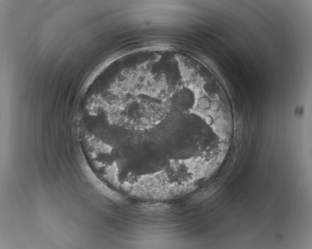 X0000110940851200907311014