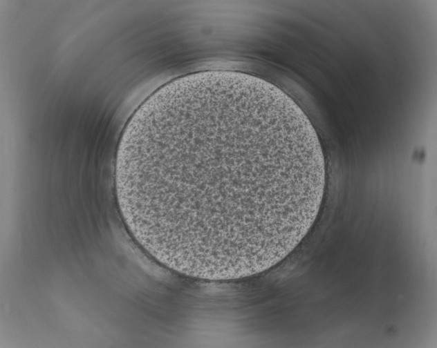 X0000110940852200907311014
