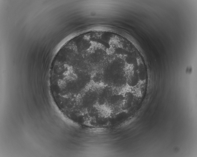 X0000110940853200907311014