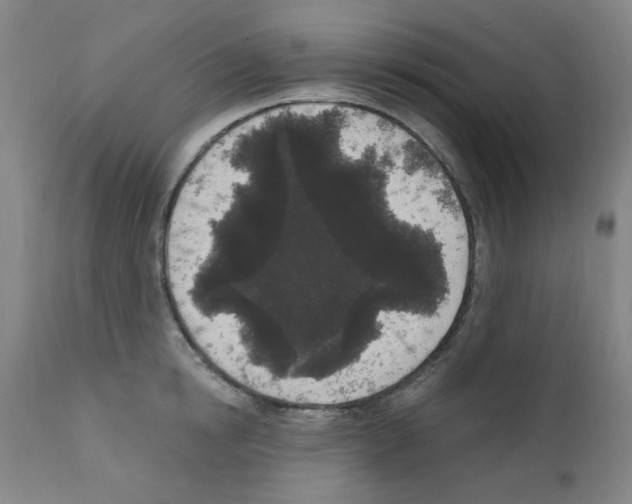 X0000110940854200907311014