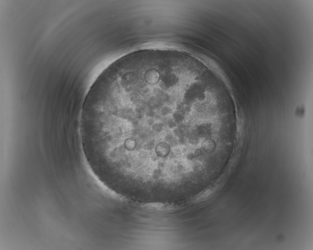 X0000110940855200907311014