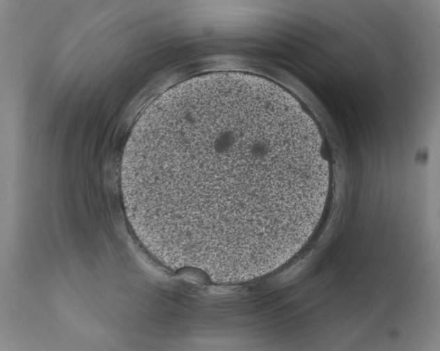 X0000110940857200907311014
