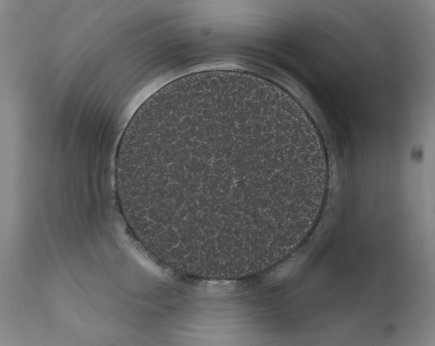 X0000110940858200907311014