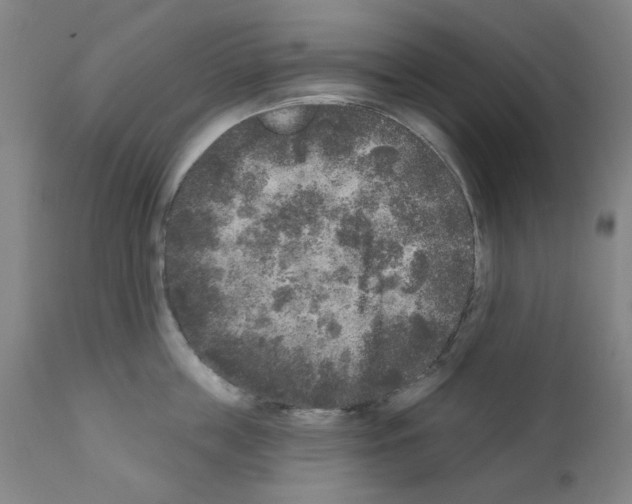 X0000110940859200907311014