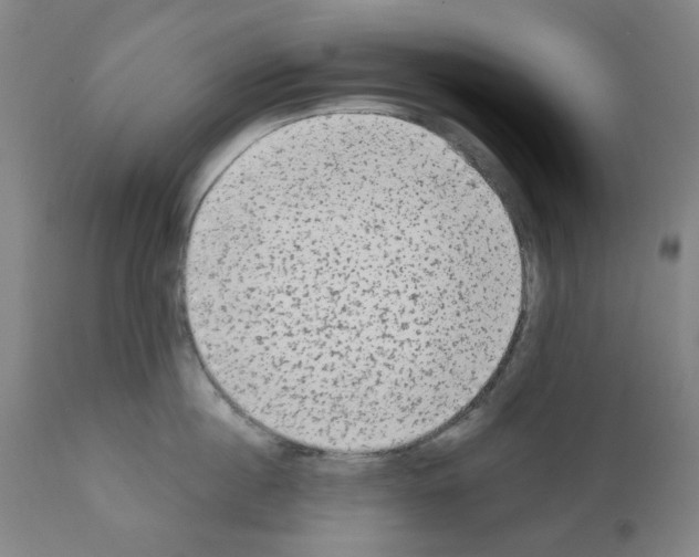 X0000110940860200907311014