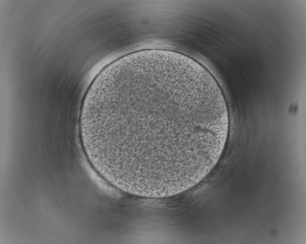 X0000110940861200907311014