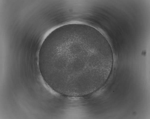 X0000110940862200907311014