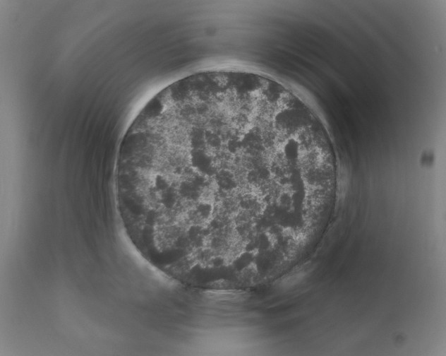 X0000110940863200907311015