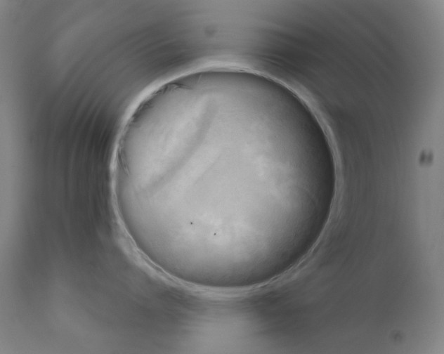 X0000110940864200907311015