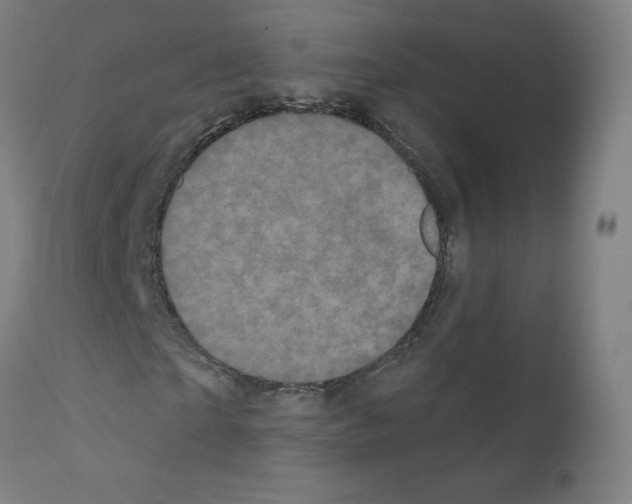 X0000110940865200907311014