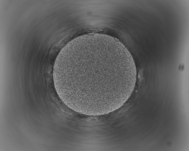 X0000110940867200907311014