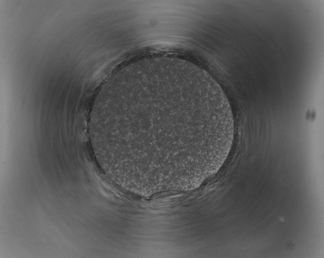 X0000110940868200907311014