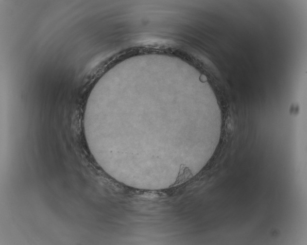 X0000110940869200907311014