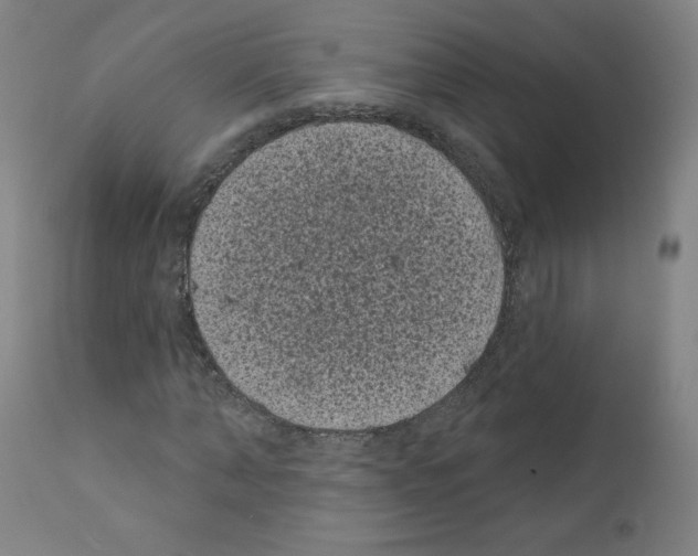 X0000110940870200907311014