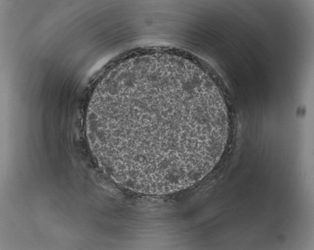 X0000110940871200907311014