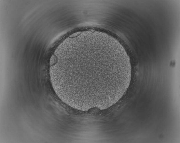 X0000110940872200907311014