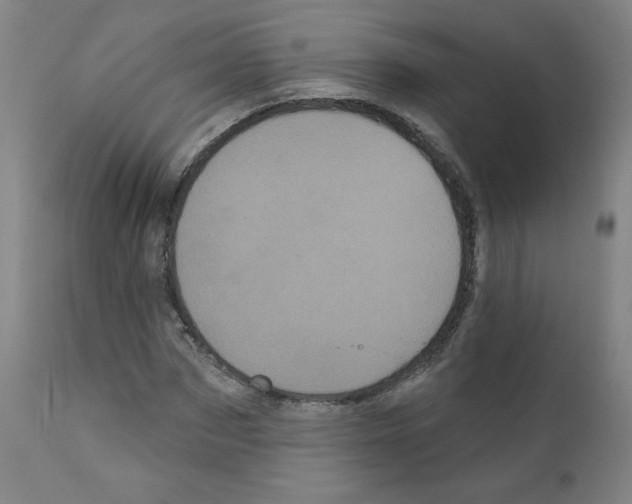 X0000110940873200907311014