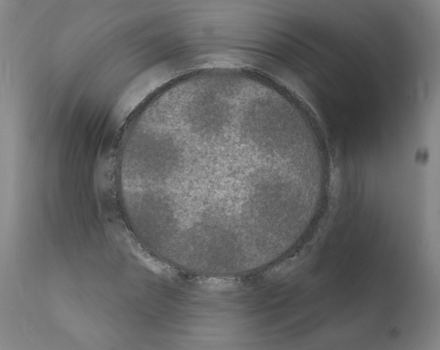 X0000110940874200907311014