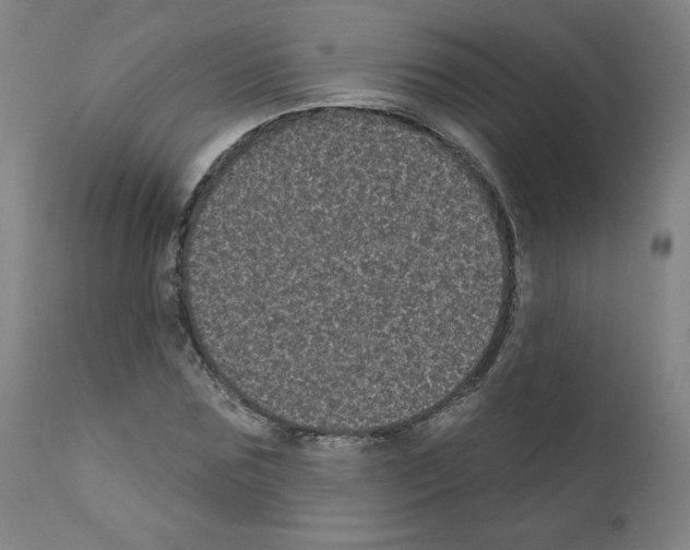 X0000110940875200907311014