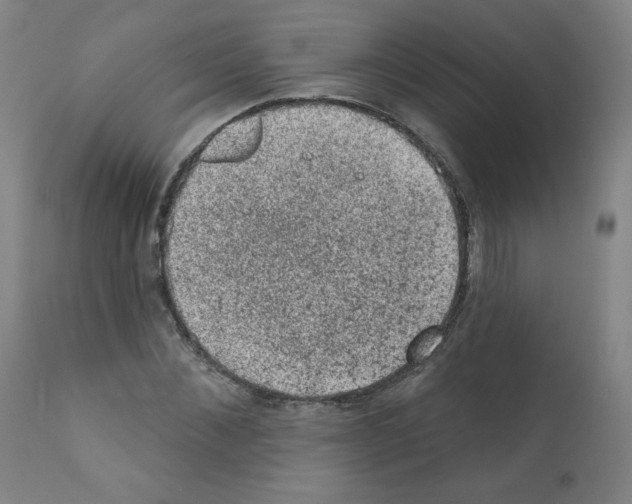 X0000110940876200907311014
