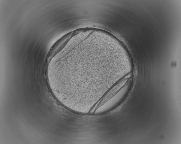 X0000110940877200907311014