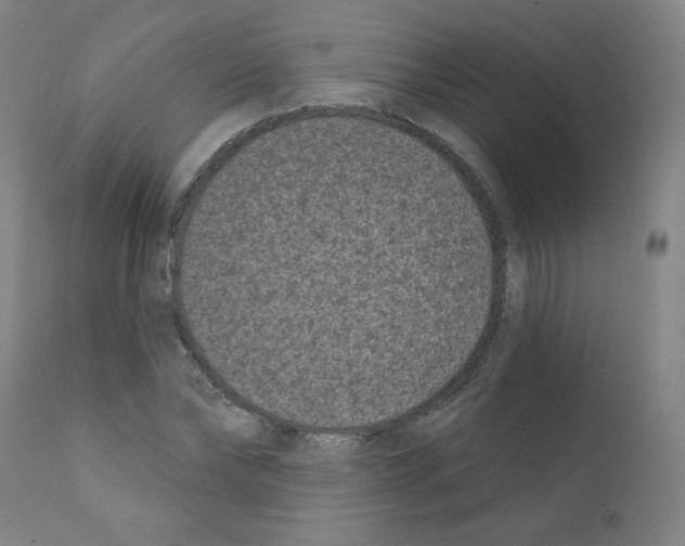 X0000110940878200907311014