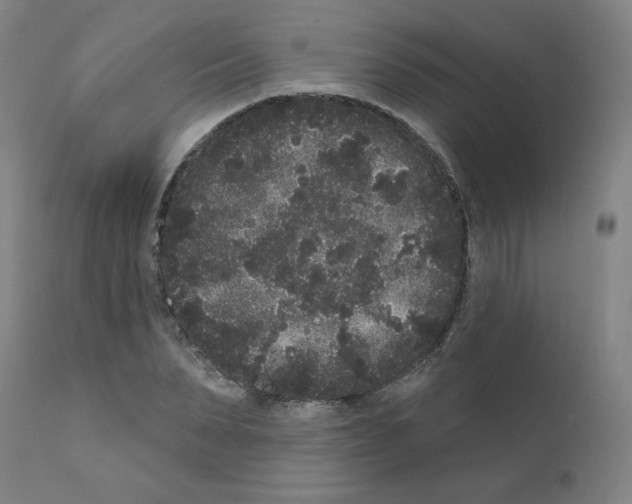 X0000110940879200907311014
