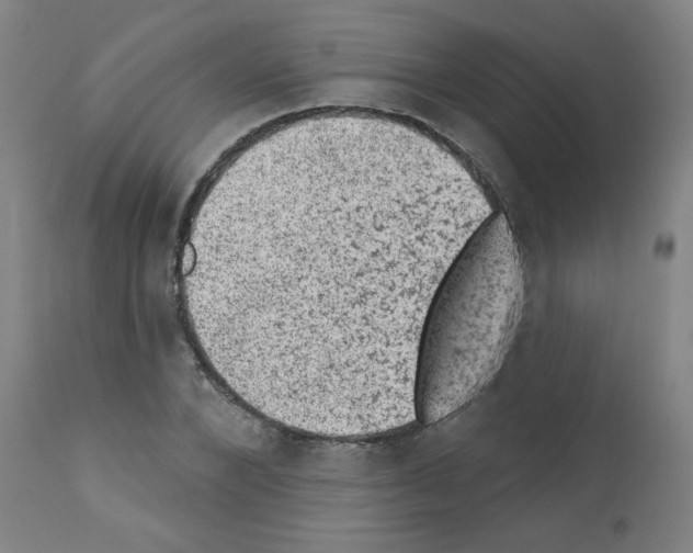 X0000110940880200907311014