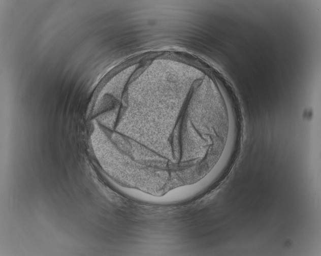 X0000110940881200907311014