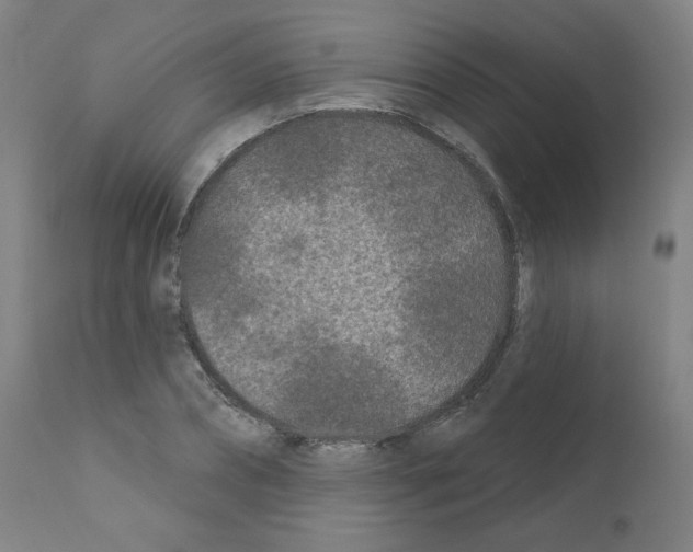 X0000110940882200907311014