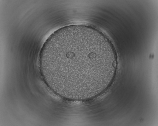 X0000110940883200907311014