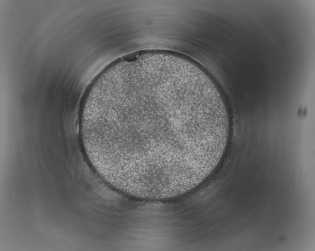 X0000110940885200907311014
