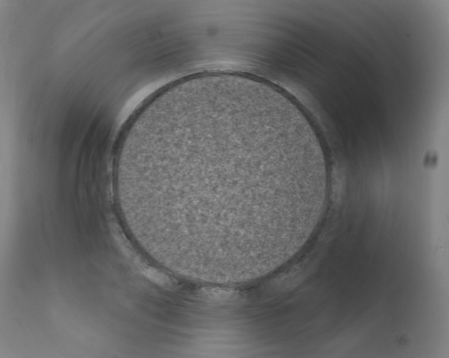 X0000110940886200907311014