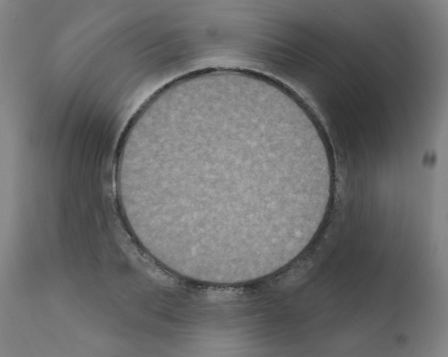 X0000110940887200907311014