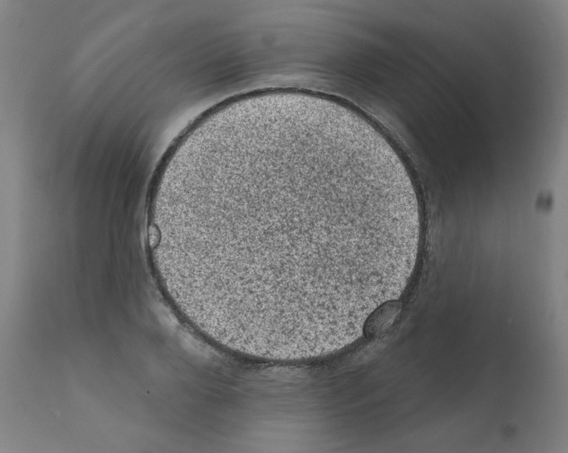 X0000110940888200907311014