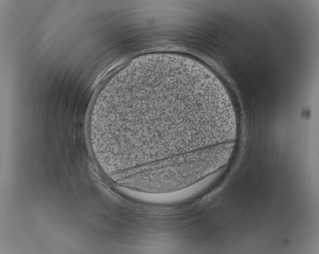 X0000110940889200907311014