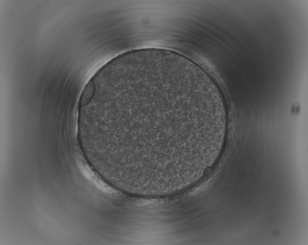 X0000110940892200907311013
