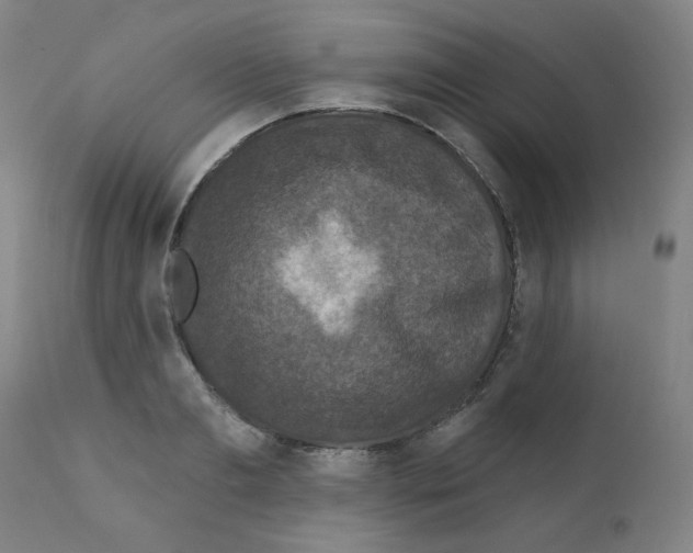 X0000110940893200907311013