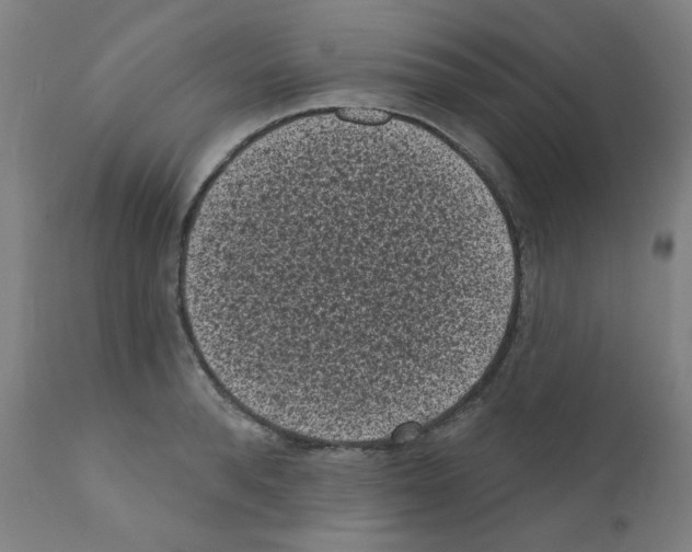 X0000110940896200907311013