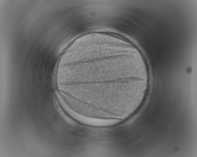 X0000110940897200907311013