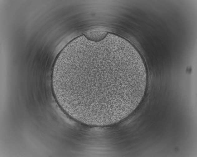 X0000110940898200907311013