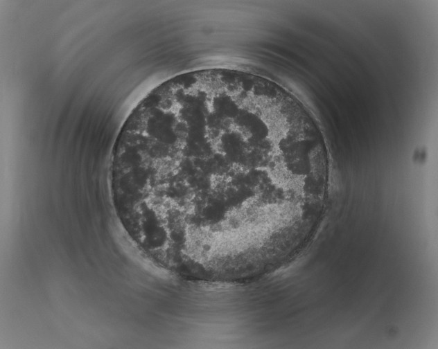 X0000110940899200907311013