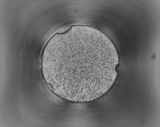 X0000110940900200907311013